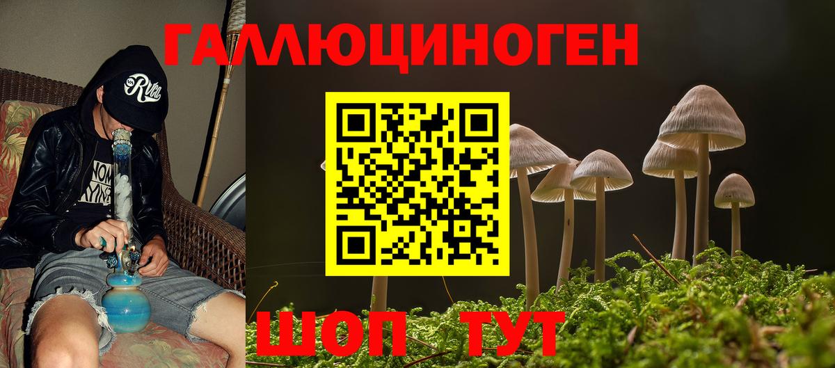 Джанкой  Галлюциногенные грибы прущие грибы  Вход с VPN  Псилоцибиновые грибы GOLDEN TEACHER 